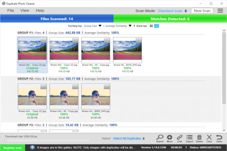 重复照片清理 Duplicate Photo Cleaner v7.18.0.49 x64