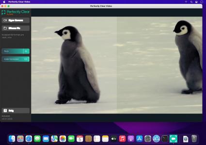 视频质量增强工具 Perfectly Clear Video v4.6.0.2638 macOS