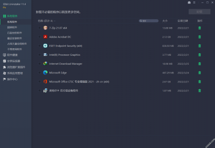 IObit Uninstaller Pro 13.4.0.2 便携版